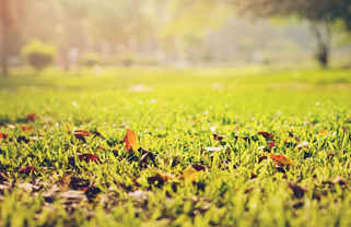 villas in Hennur Road